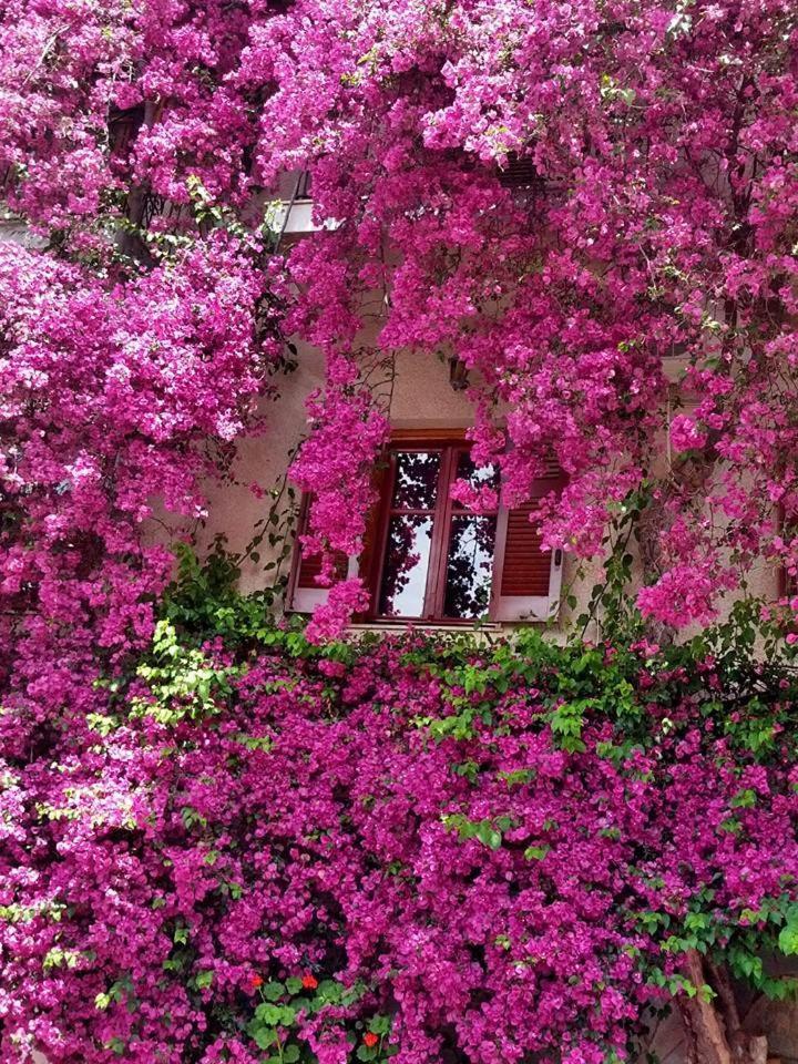 Iliolithos Rooms การ์ดามมีลี ภายนอก รูปภาพ