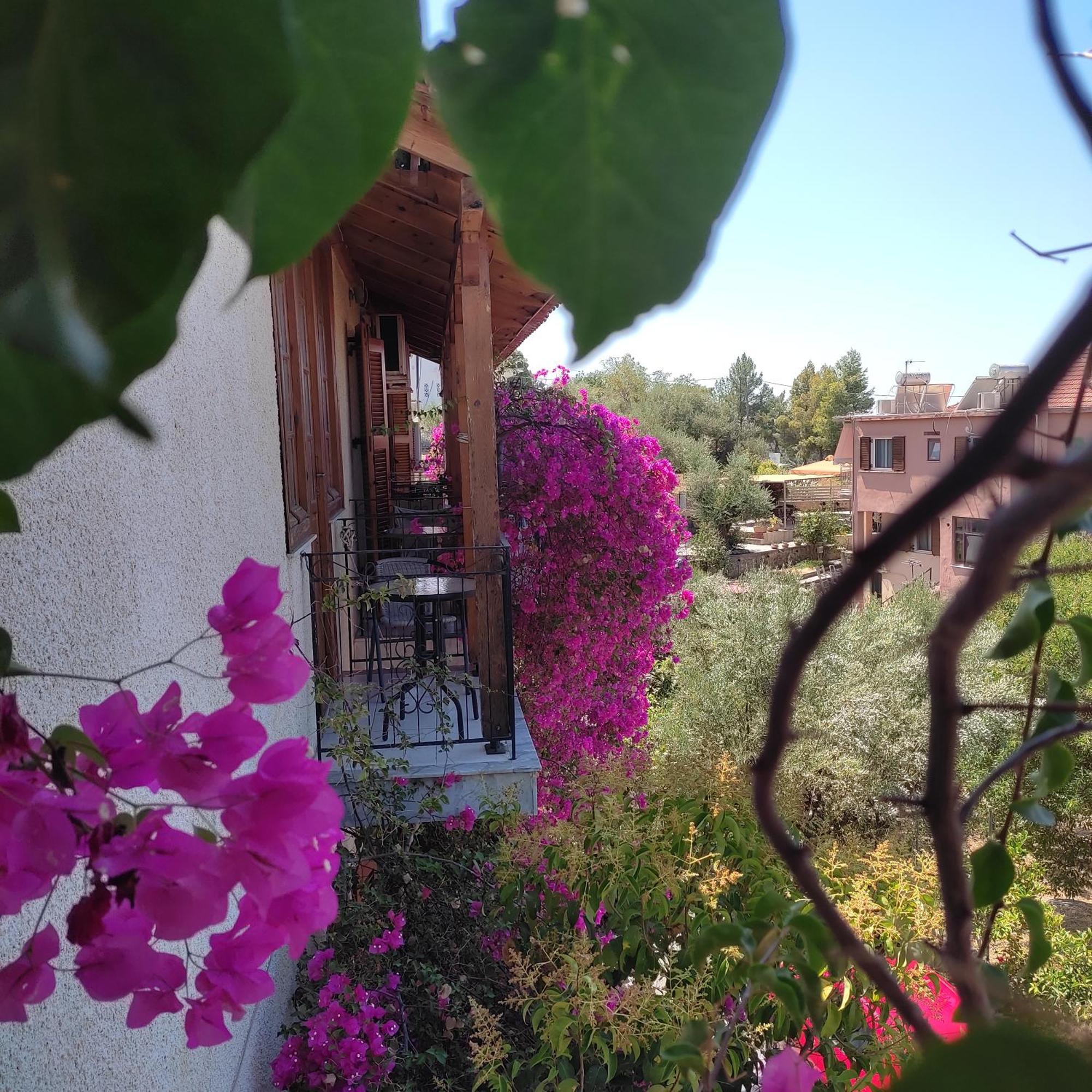 Iliolithos Rooms การ์ดามมีลี ภายนอก รูปภาพ