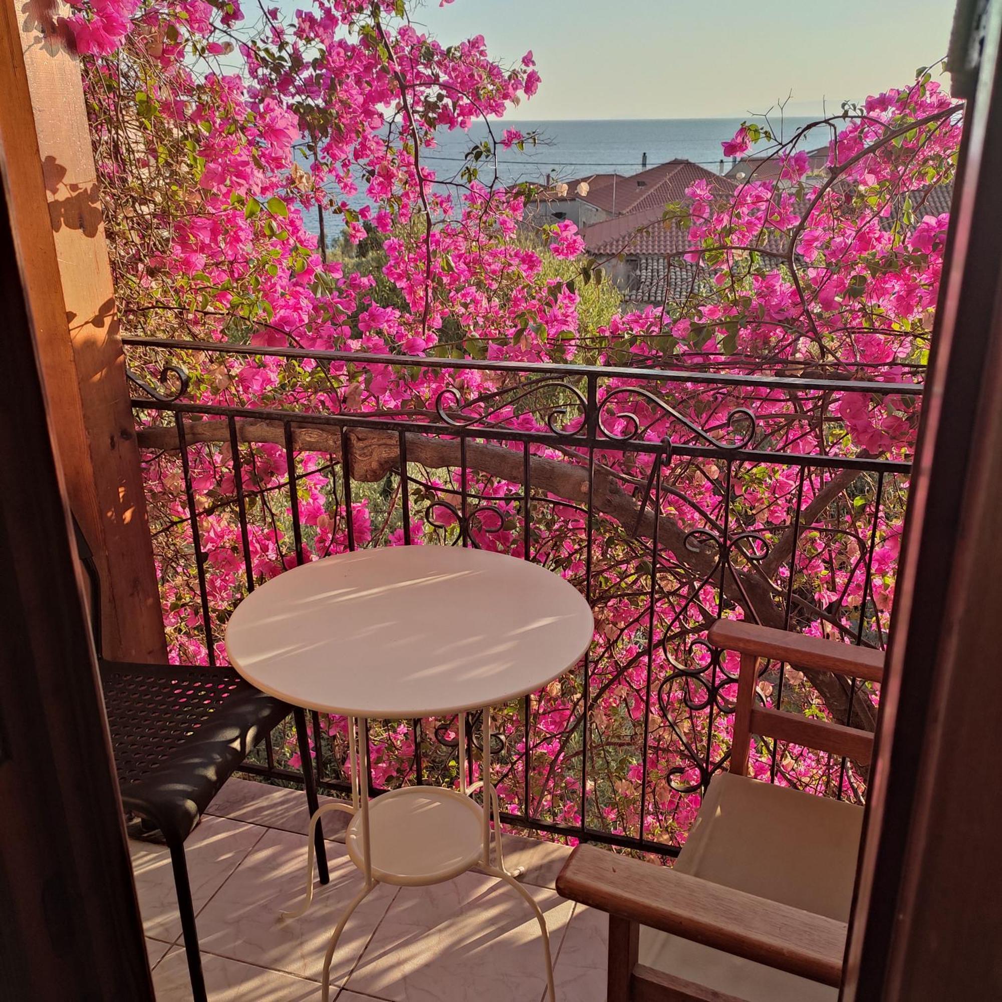 Iliolithos Rooms การ์ดามมีลี ภายนอก รูปภาพ